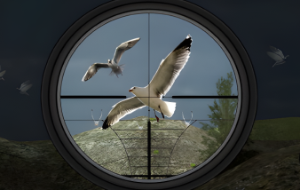 Bird Hunting Game